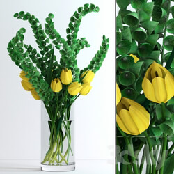 Plant - Yellow tulips and Moluccella 