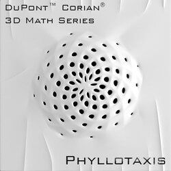 3D panel - 3D Panel Corian Phyllotaxis 