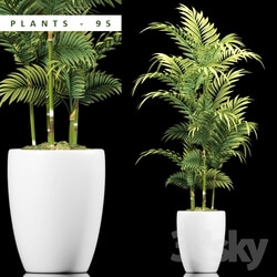 Plant - PLANTS 95 