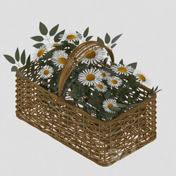 Basket with a bouquet of daisies 