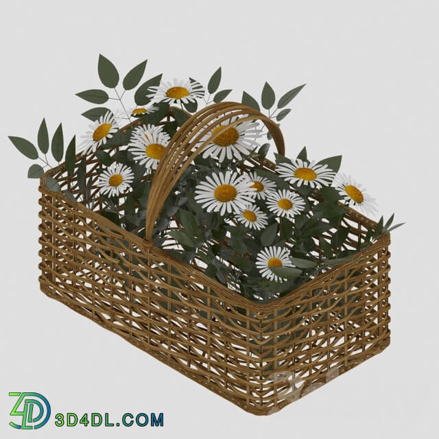 Basket with a bouquet of daisies