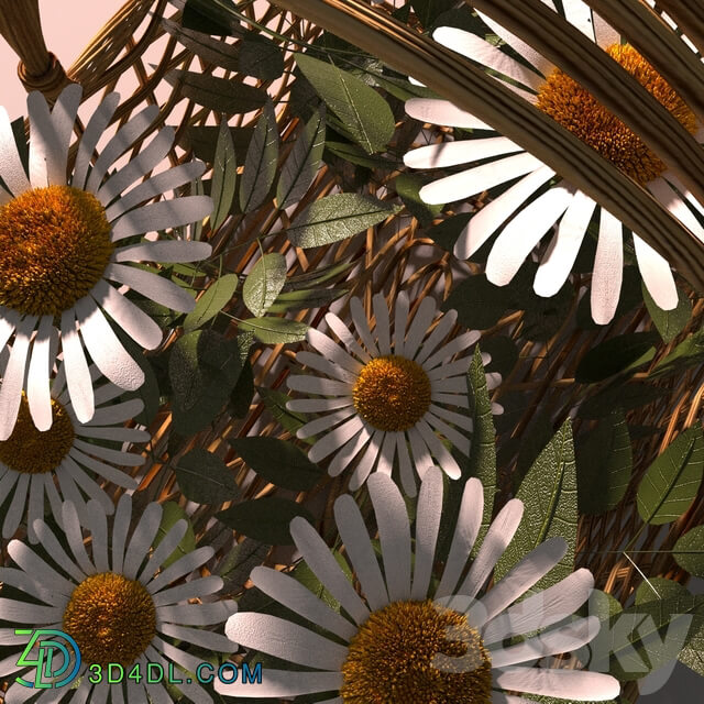 Basket with a bouquet of daisies