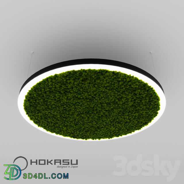 Ceiling lamp - HOKASU Halo lamp with moss