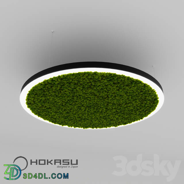 Ceiling lamp - HOKASU Halo lamp with moss