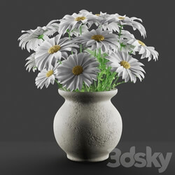 Bouquet - Bouquet of daisies in a vase 
