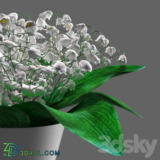 Bouquet - Bouquet of lilies of the valley in a vase