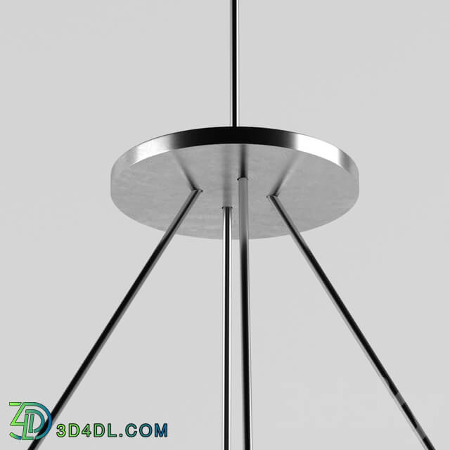 Chandelier - Organic Light _futuristic Design_