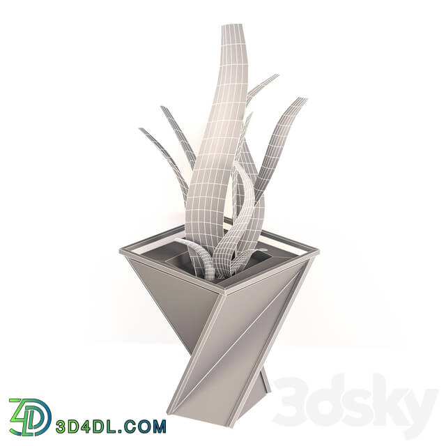 Indoor - Triangular vase