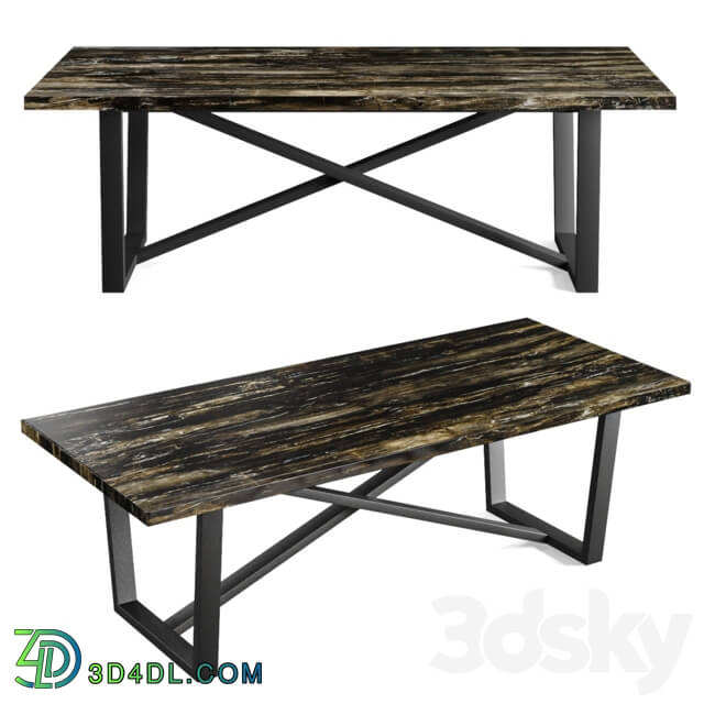 Table - Fossil wood table 112