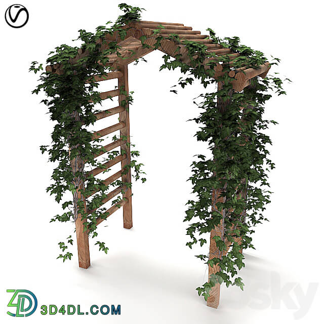 Other - Arbor with Ivy
