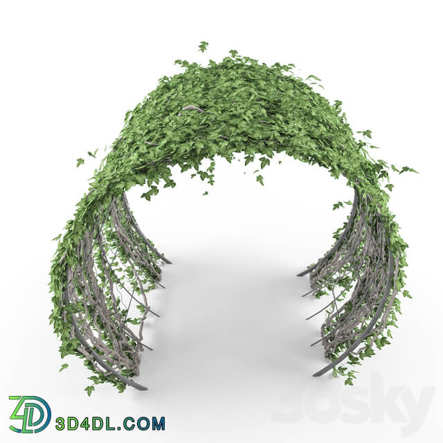 Other - Plant arch
