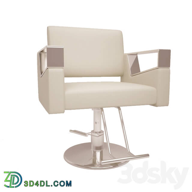 Beauty salon - Beauty salon chair