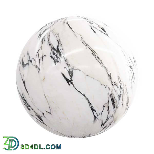 CGaxis Textures Physical 2 Marble black and white marble 23 03