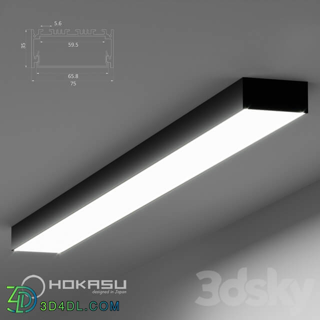 Ceiling lamp Linear Lamp Hokasu 75 35 Black surface Mounted 