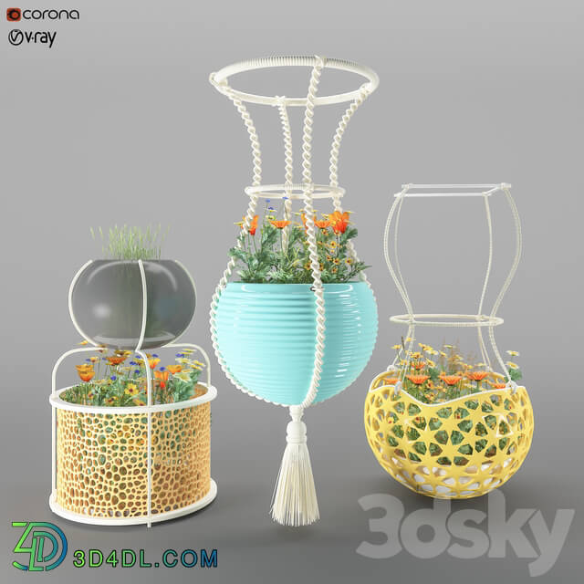 Indoor - hanging flower pots