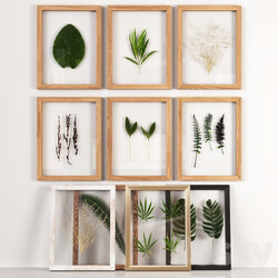 Frames Set 001 With Plants 