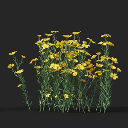 Maxtree-Plants Vol38 Flax 01 06 