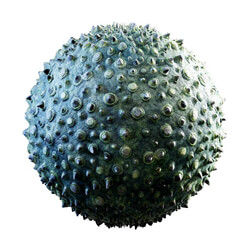 CGaxis Textures Physical 3 Organic green creature skin with spikes 32 36 