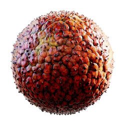 CGaxis Textures Physical 3 Organic spiky red creature skin 32 51 