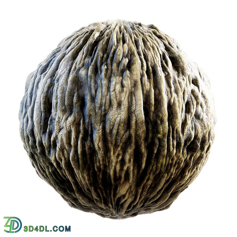 CGaxis Textures Physical 3 Organic tree bark 32 85