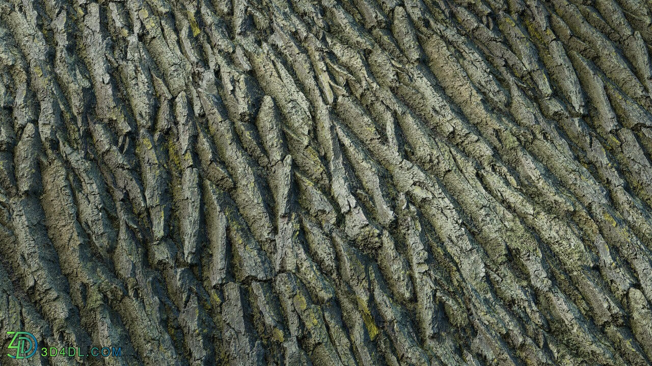 Quixel tree bark th4racuaw