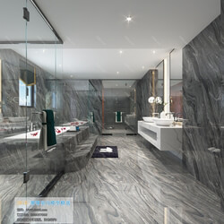 3D66 2019 Toilet & Bathroom Chinese style C008 