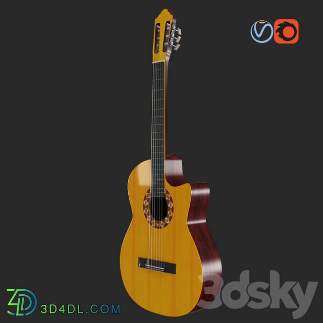 Musical instrument - Guitar