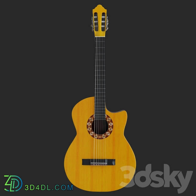 Musical instrument - Guitar