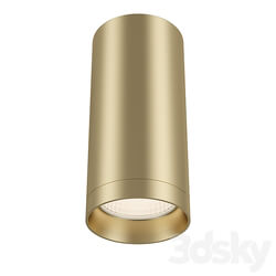 Ceiling lamp - Track lamp Maytoni Technical Alpha C010CL-01MG series 