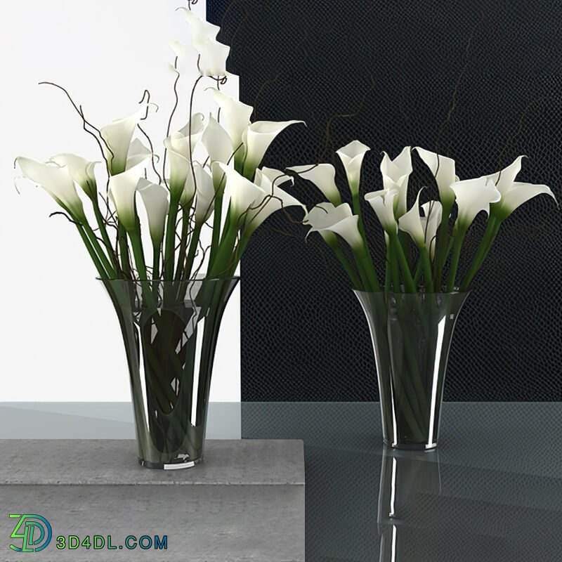 Design Connected Calla Lily High