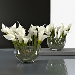 Design Connected Calla Lily 