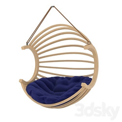 Other - Hanging swing chair 