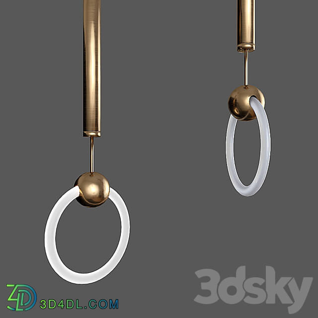 Pendant light - Ring Light Article Number_ 17238