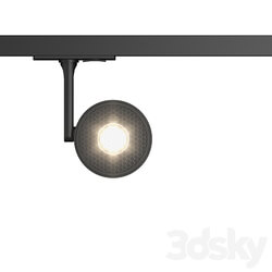 Technical lighting - Track light Maytoni Ponto TR024-1-10B3K series 