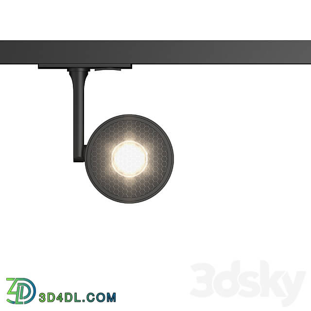 Technical lighting - Track light Maytoni Ponto TR024-1-10B3K series