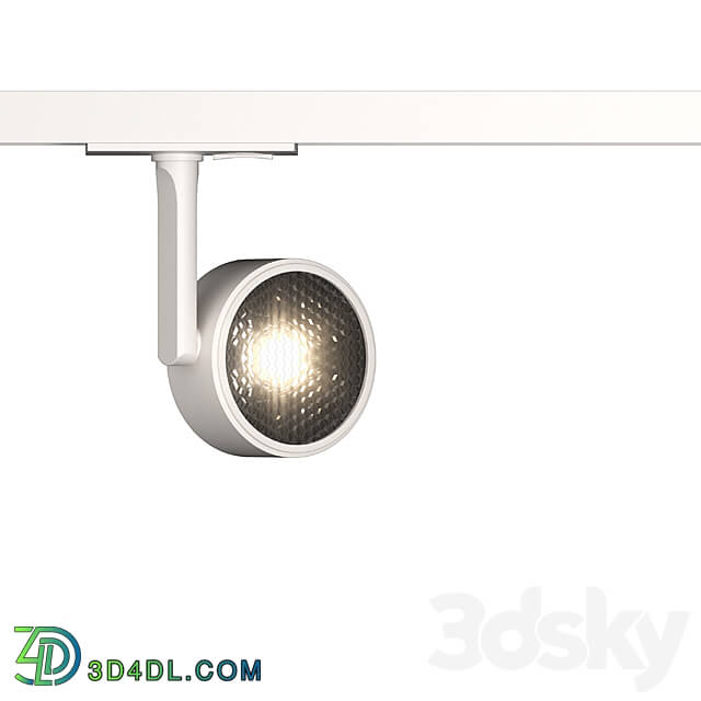 Technical lighting - Track light Maytoni Ponto TR024-1-10W3K series