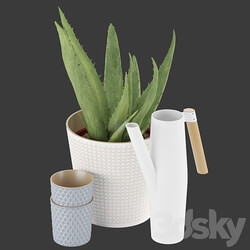 Set of Aloe Vera and BITTERGURKA watering can 