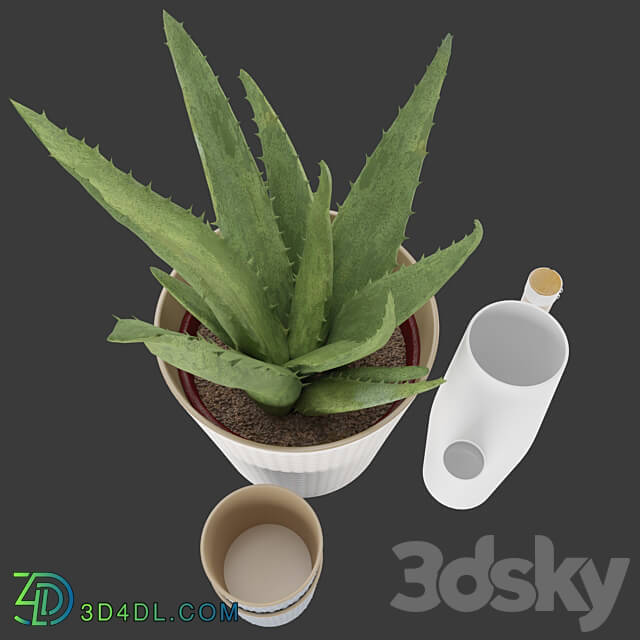 Set of Aloe Vera and BITTERGURKA watering can