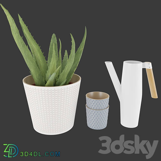 Set of Aloe Vera and BITTERGURKA watering can