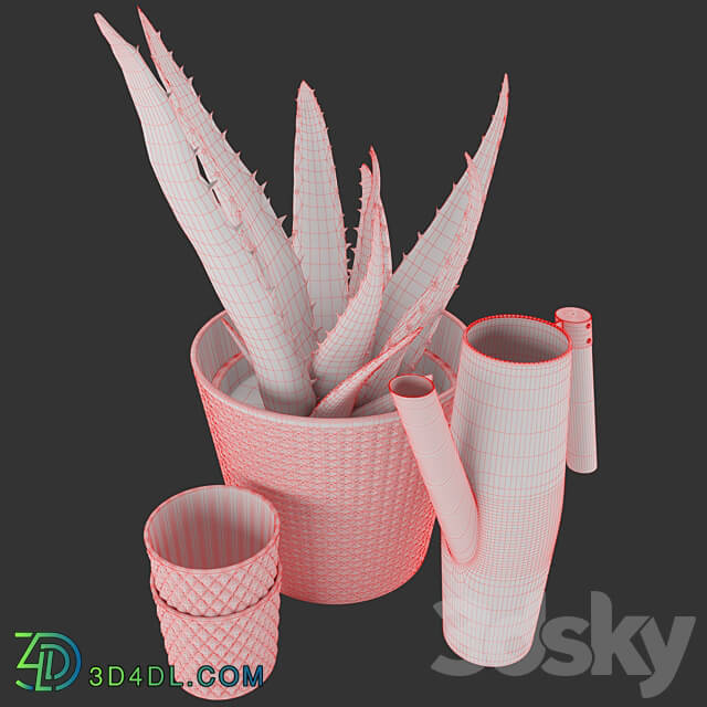 Set of Aloe Vera and BITTERGURKA watering can