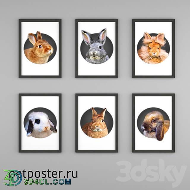 PetPoster posters