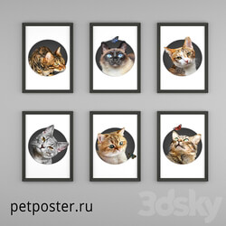 PetPoster posters 