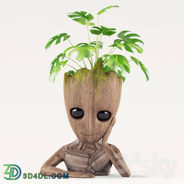 Plant - Vase Groot Decoration