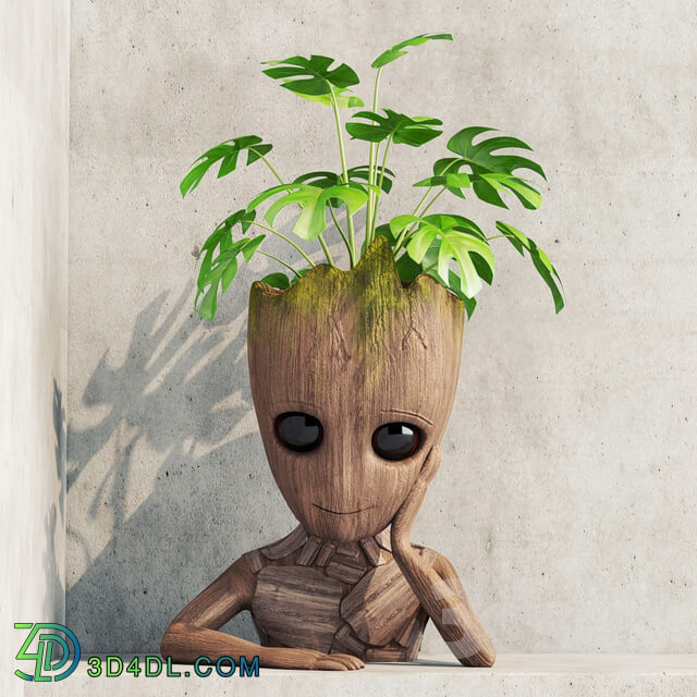 Plant - Vase Groot Decoration