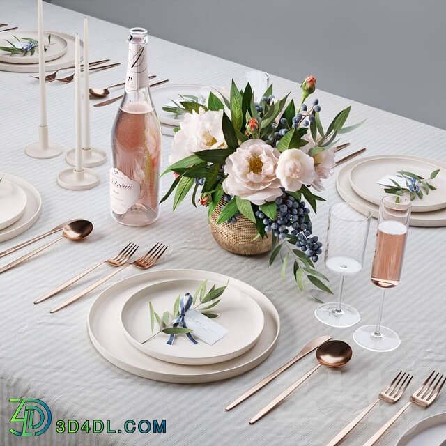 Tableware - Table setting 2