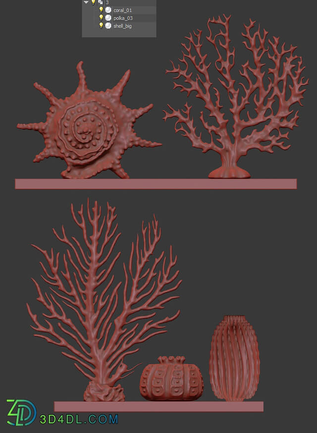 Decorative set - Decorative set with coral v2