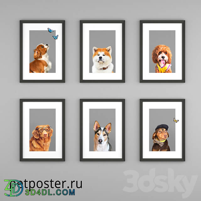 PetPoster posters