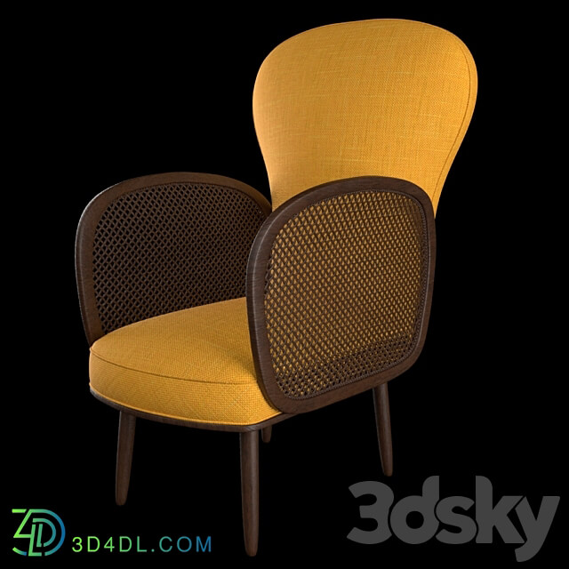 Arm chair - French Design Armchair