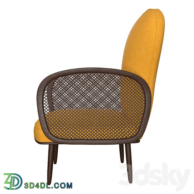 Arm chair - French Design Armchair