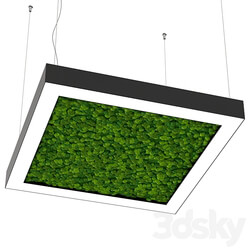 Pendant light - Bone light square with moss OM 